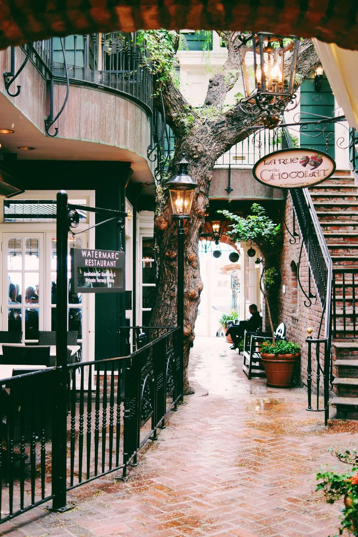 an alley way with stairs and potted plants on either side, surrounded by wrought iron railings