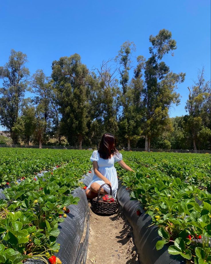 a woman sitting on top of a fence in a strawberry field