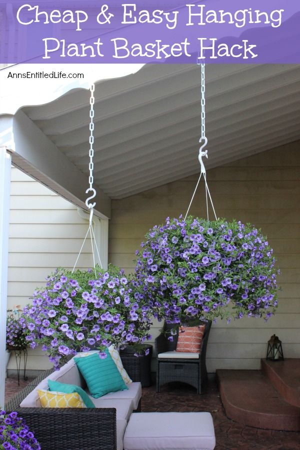 an outdoor patio with purple flowers hanging from the ceiling