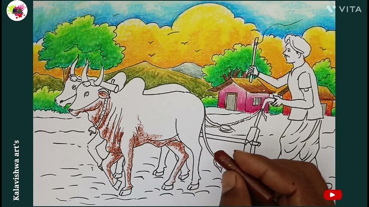 a drawing of two cows being pulled by a man