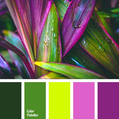 the color scheme is green, purple and yellow with some water droplets on it's leaves