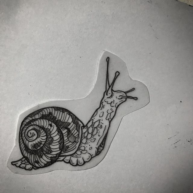 a drawing of a snail on a piece of paper that has been cut in half