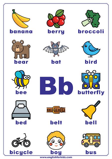 the letter b is for bird, bear, bee, butterfly and other things that are in english