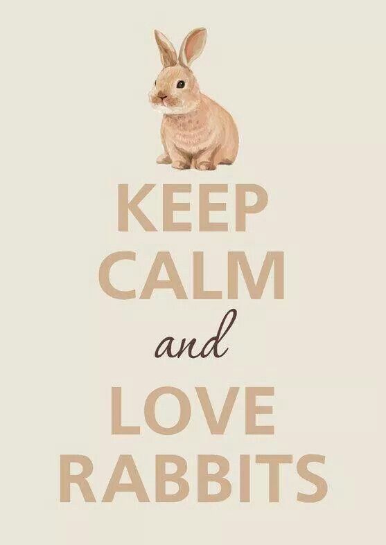 a poster with the words keep calm and love rabbits