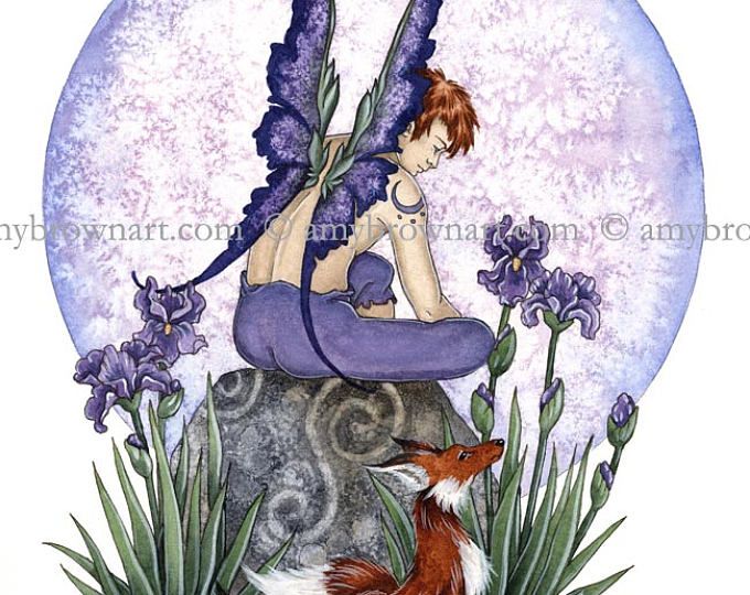 a fairy sitting on top of a rock next to a fox