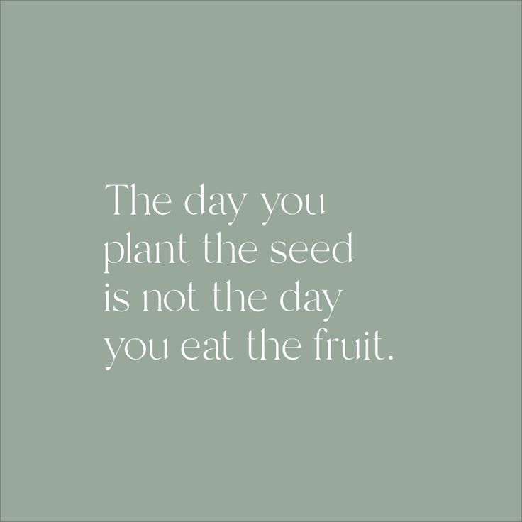 the day you plant the seed is not the day you eat the fruit