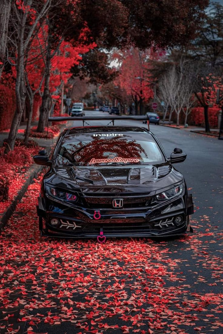 a car parked on the side of a road with red leaves all over it's surface