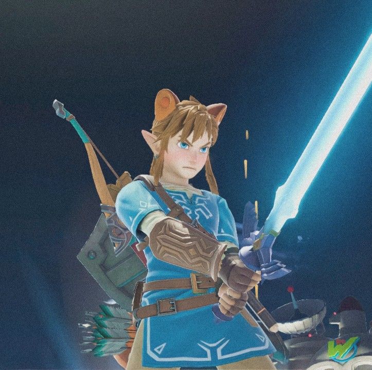 Smash Bros Aesthetic, Smash Bros Pfp, Link Super Smash Bros, Smash Bros Zelda, Link Botw, Smash Bros Funny, Link Meme, Fire Emblem Warriors, Video Game Memes