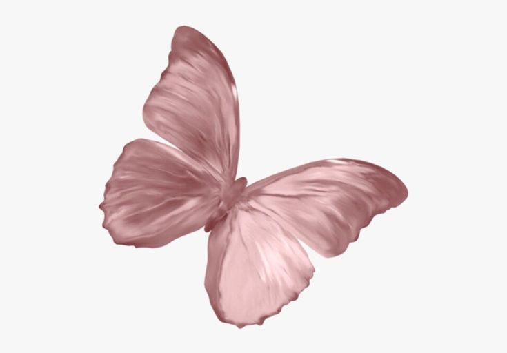 a pink butterfly flying through the air