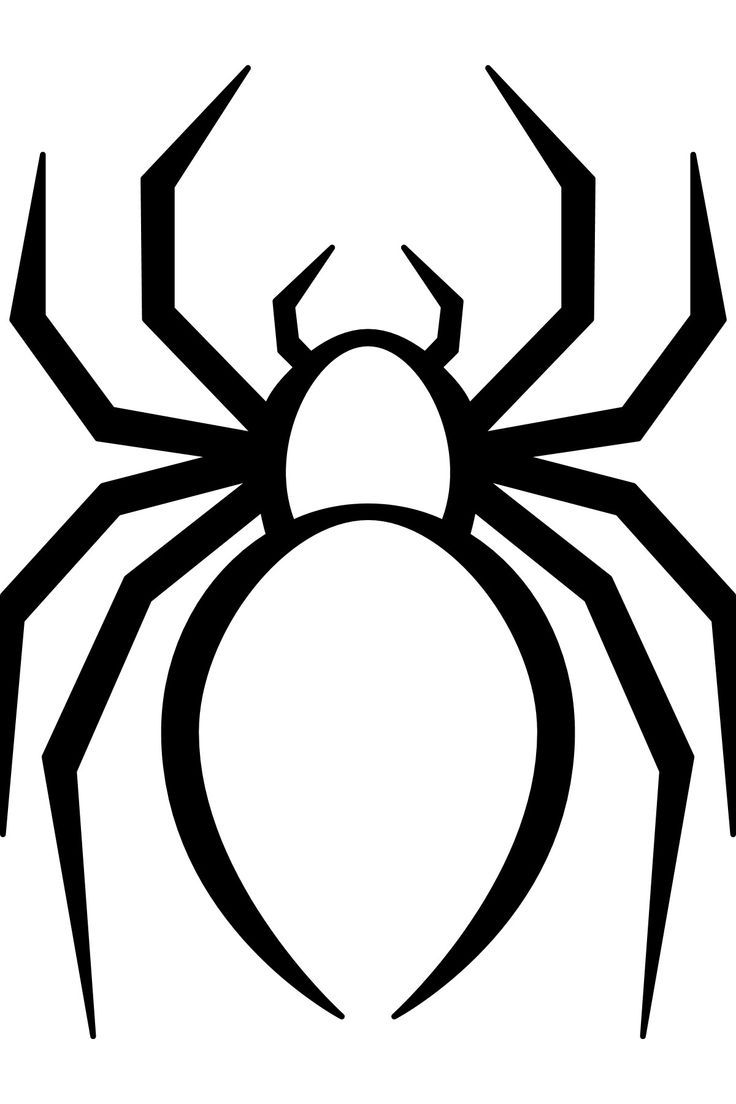 a black and white spider on a white background