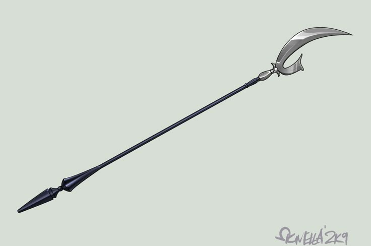 an image of a long metal spear