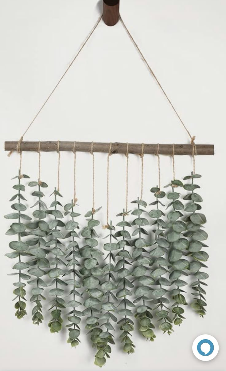 some green plants are hanging from a rope