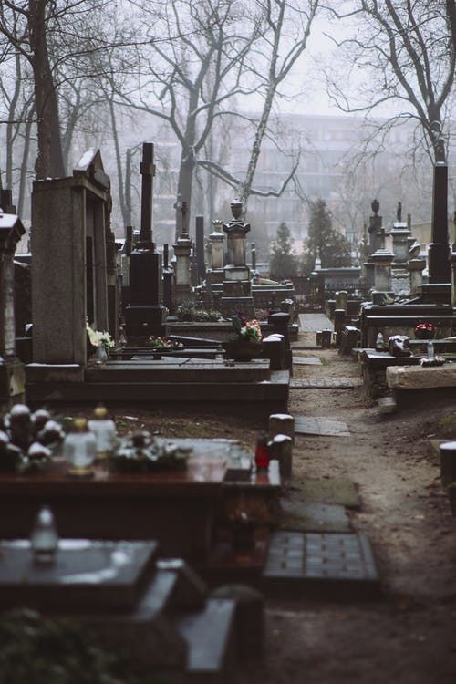 a cemetery with many headstones and trees in the background