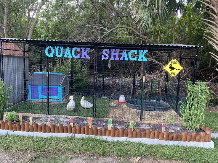 a fenced in chicken coop with chickens and ducks on the grass next to it