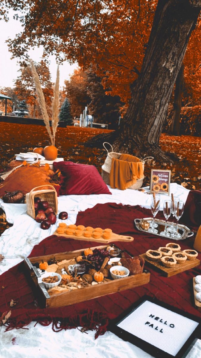 an outdoor picnic with food and drinks on the blanketed tablecloths in front of a tree