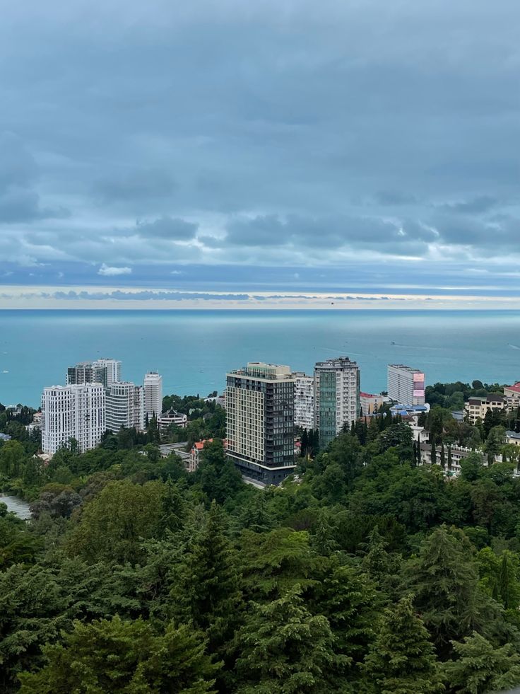 the city is surrounded by tall buildings and green trees, overlooking the blue water in the distance