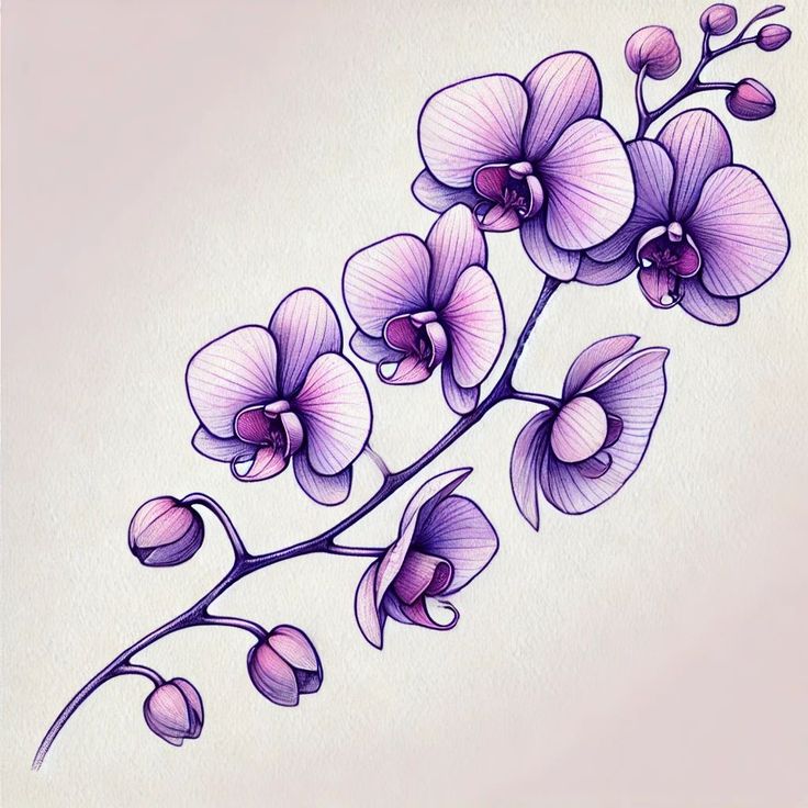 a drawing of purple flowers on a white background