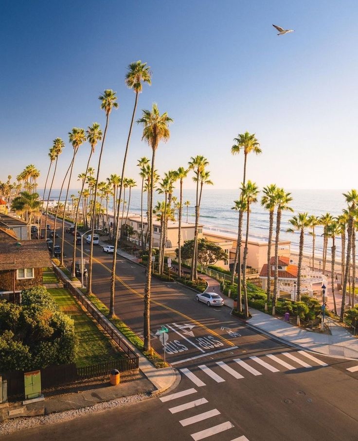 a street with palm trees and the ocean in the background