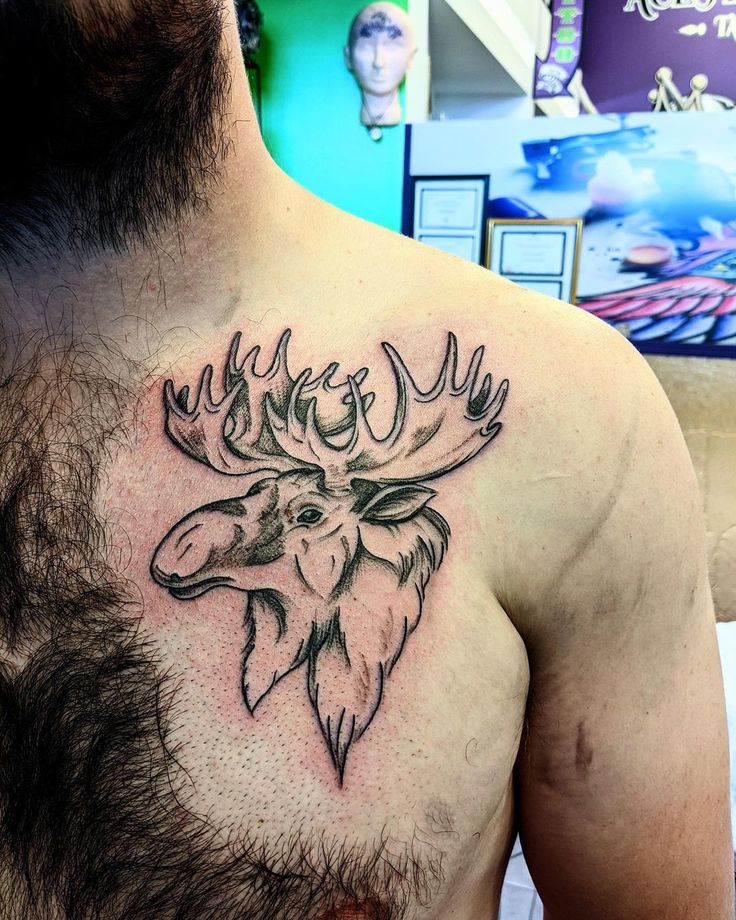 Moose Tattoo, modern moose tattoo, simple moose tattoo, moose tattoo ideas, geometric moose tattoo, small moose tattoo, traditional moose tattoo, feminine small moose tattoo, realistic moose tattoo, moose tattoo simple, moose tattoo designs, laurdiy moose tattoo, cute moose tattoo, moose tattoo small, tiny moose tattoo, outline small moose tattoo, minimalist moose tattoo, cartoon moose tattoo, small black moose tattoo, small simple moose tattoo, cute moose tattoo small, bull moose tattoo Cartoon Moose Tattoo, Moose Tattoo Traditional, Moose Tattoo Men, Moose Head Tattoo, Moose Skull Tattoo, Moose Antler Tattoo, Moose Tattoos, Tattoo Ideas Geometric, Cartoon Moose