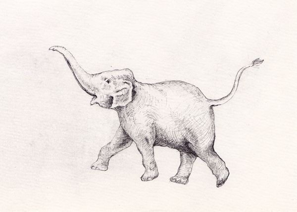 an elephant that is standing up in the air