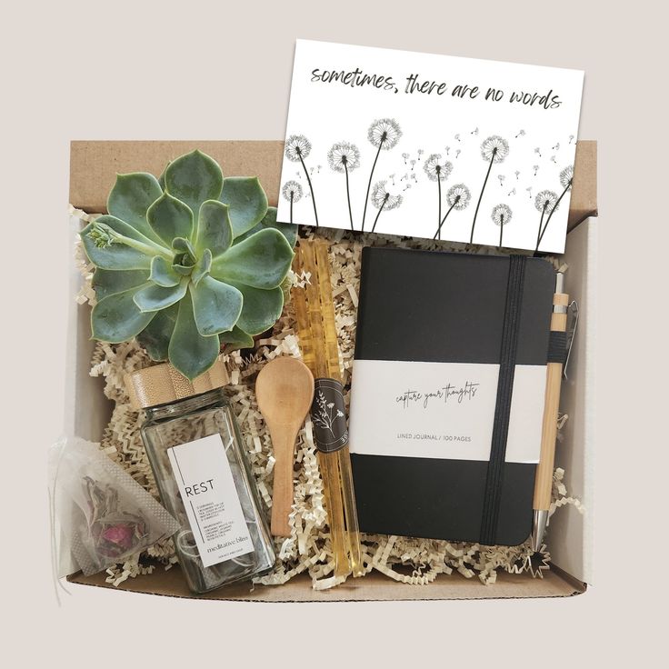 an open box filled with notes, pens, and a notepad next to a potted plant