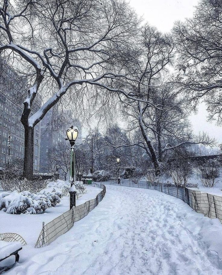 a snow covered street with benches and lampposts