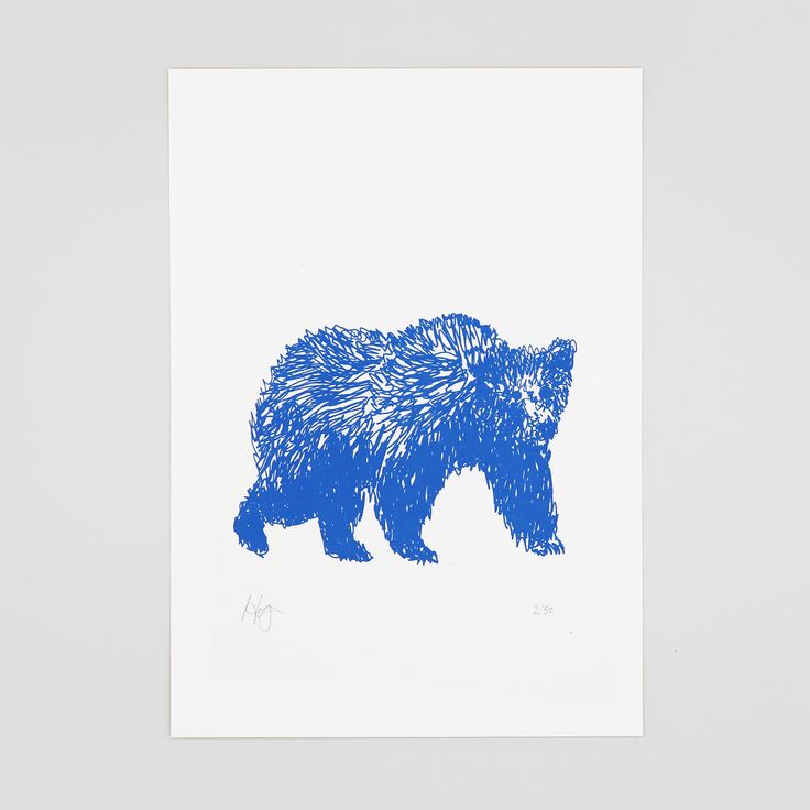 a drawing of a bear in blue ink