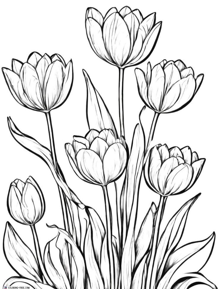 a bunch of flowers that are drawn in black and white