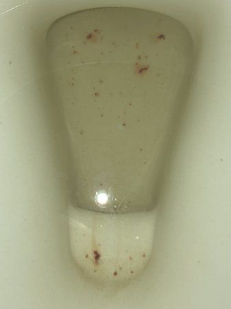 a close up of a white toilet with dirt on it