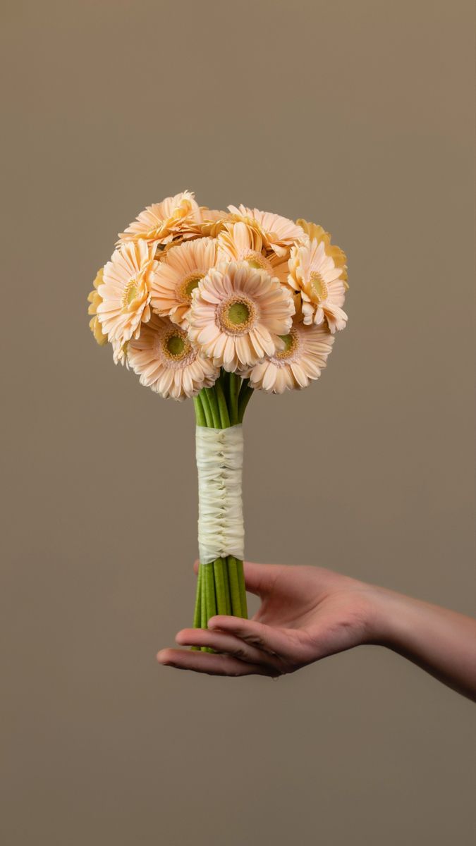 a hand holding a bouquet of flowers on top of a brown background with white and yellow colors