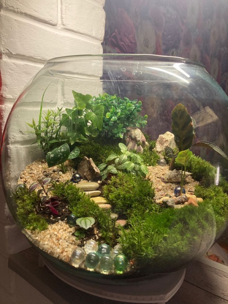 a fish bowl filled with plants and rocks