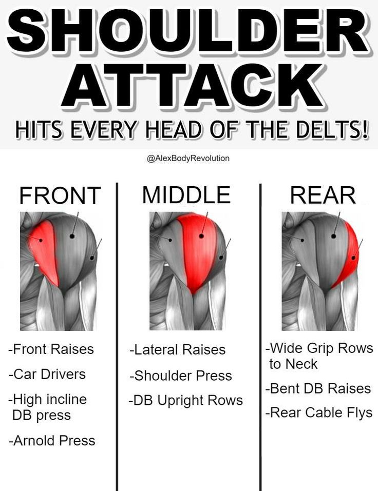 the shoulder is shown with different types of muscles and how to use it in order to help