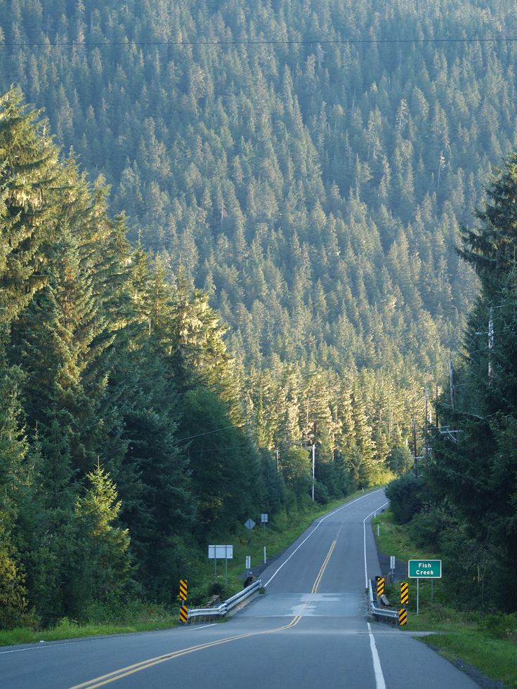 an empty road in the middle of a forest with trees on both sides and a green street sign at the end