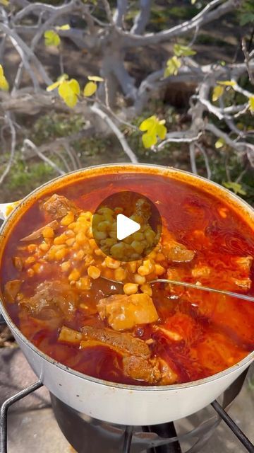 a pot filled with food sitting on top of a metal grill next to a tree