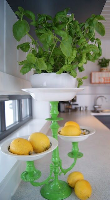 three plates with lemons and basil on them sitting on a kitchen counter next to a potted plant