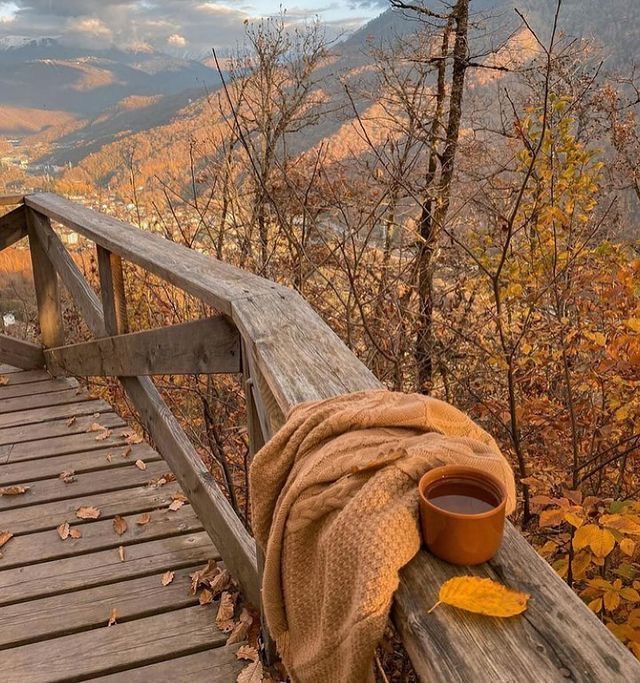 a blanket and cup on a wooden bridge