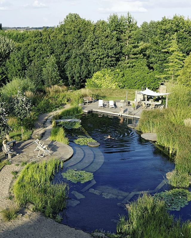 an aerial view of a small pond surrounded by greenery and people sitting on lounge chairs