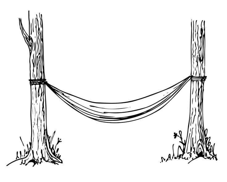 a hammock hanging between two trees