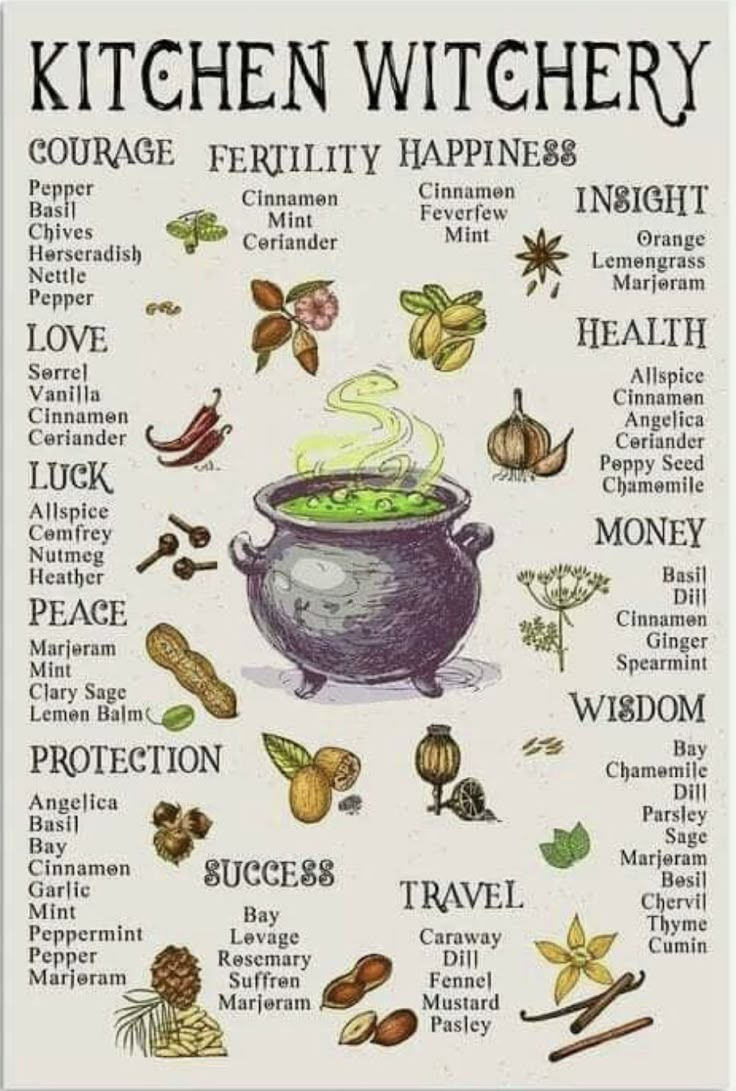 Homemade Garden, Magia Das Ervas, Kitchen Witchery, Wiccan Witch, Witch Spell Book, Witch Spell, Herbal Magic, Baby Witch, Witch Magic