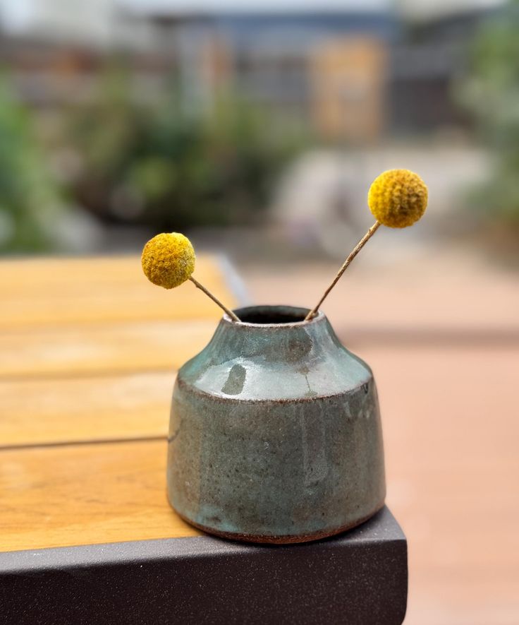 a vase with two yellow flowers in it sitting on a wooden table outside next to a bench