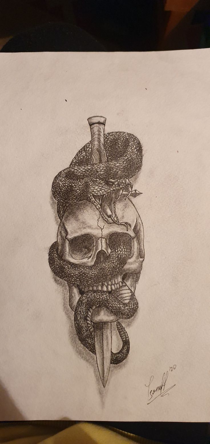 a pencil drawing of a skull with a snake on it's head