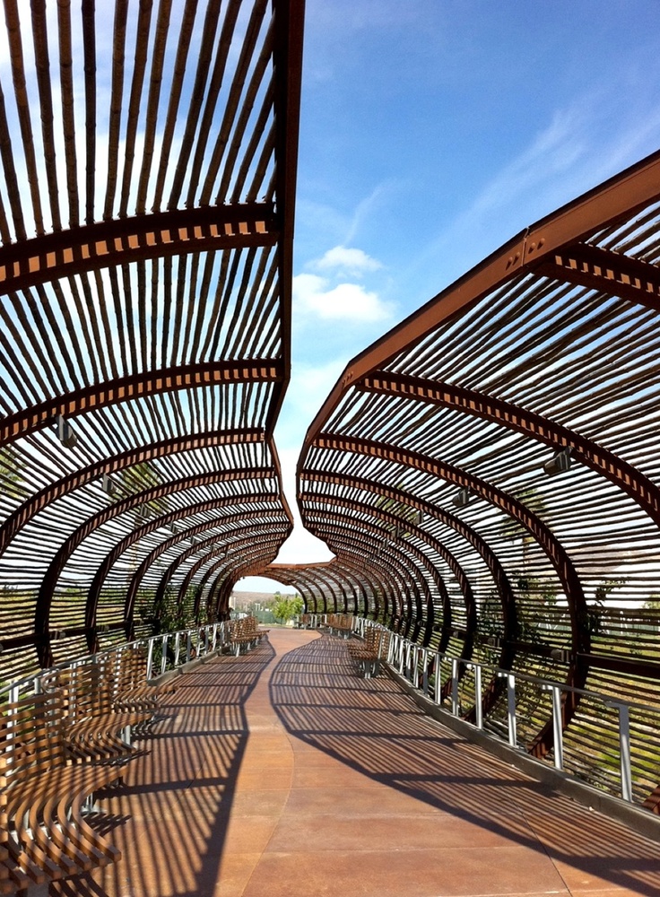 the walkway is lined with wooden slats and metal railings, as well as blue sky