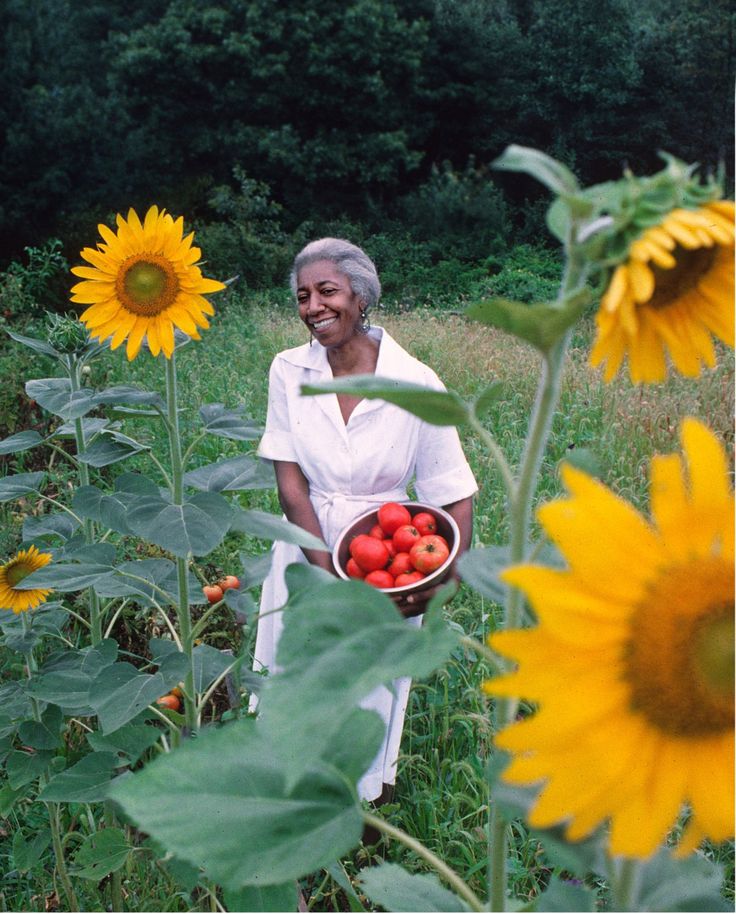 an older woman holding a bowl of fruit in a sunflower field