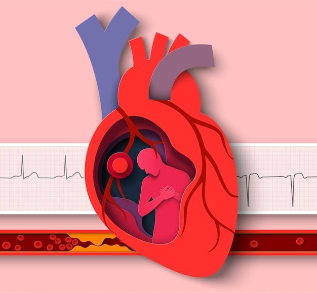 an illustration of a human heart with a person inside