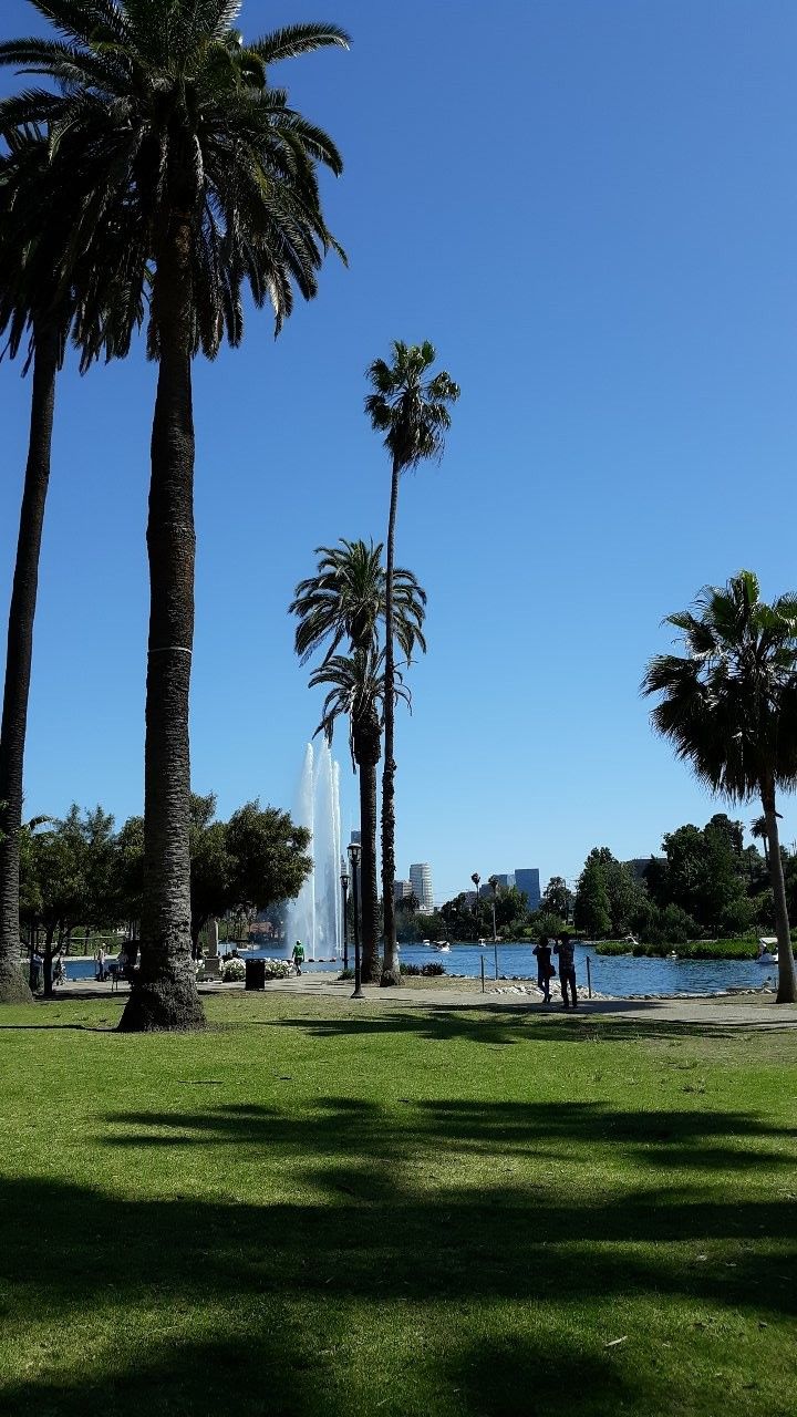 palm trees and people walking on the grass near a body of water with fountains in the background