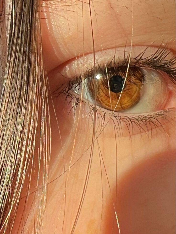 a close up view of an eye with long hair on the top and bottom of it