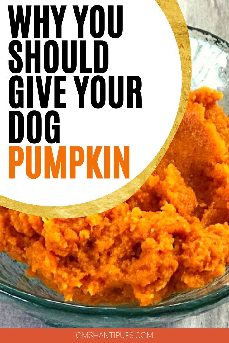 a glass bowl filled with pumpkin hummus and the words why your dog needs pumpkin