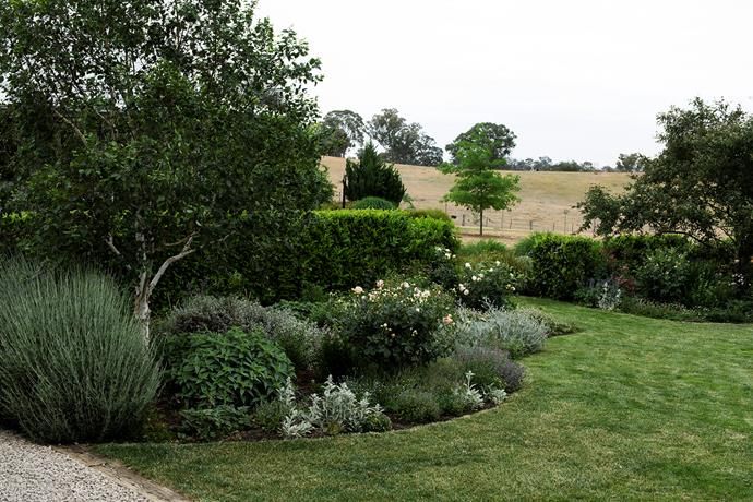 a lush green field filled with lots of trees and bushes next to a gravel road