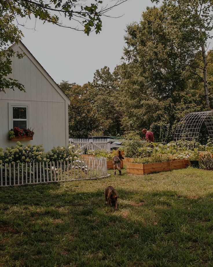 a dog is standing in the grass near a fence and some houses with plants growing on it