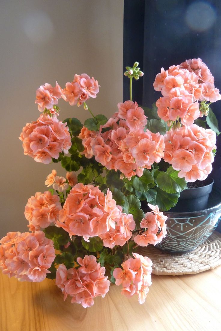 the pink flowers are blooming on the table